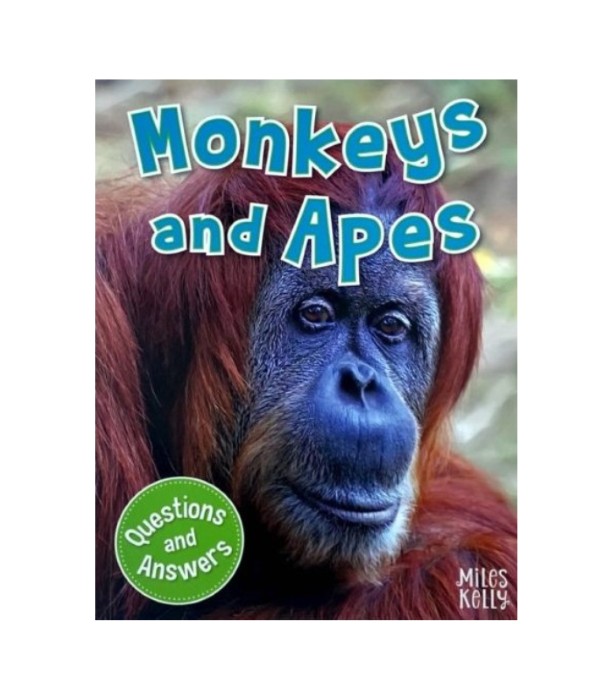 Questions and Answers: Monkeys and Apes