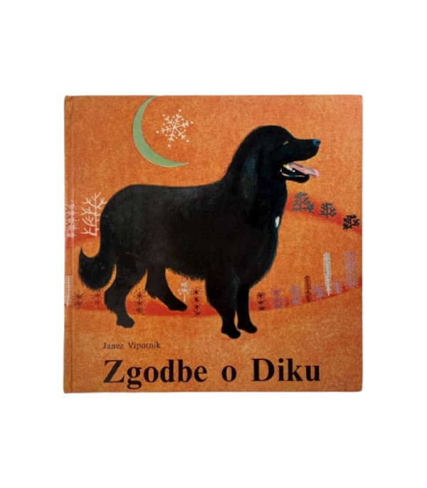 Rabljena knjiga Zgodbe o Diku - Janez Vipotnik