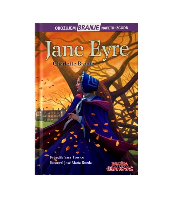 Rabljena knjiga Jane Eyre - Sara Torrico