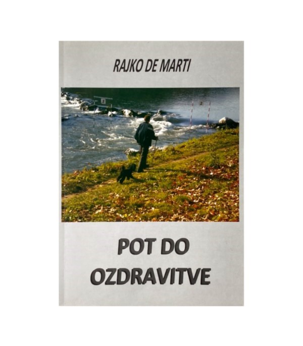 Rabljena knjiga Pot do ozdravitve - Rajko de Marti