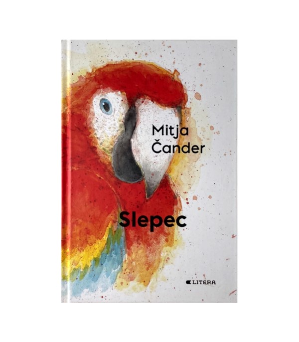 Rabljena knjiga Slepec - Mitja Čander