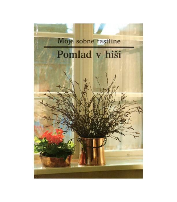 Moje sobne rastline: Pomlad v hiši
