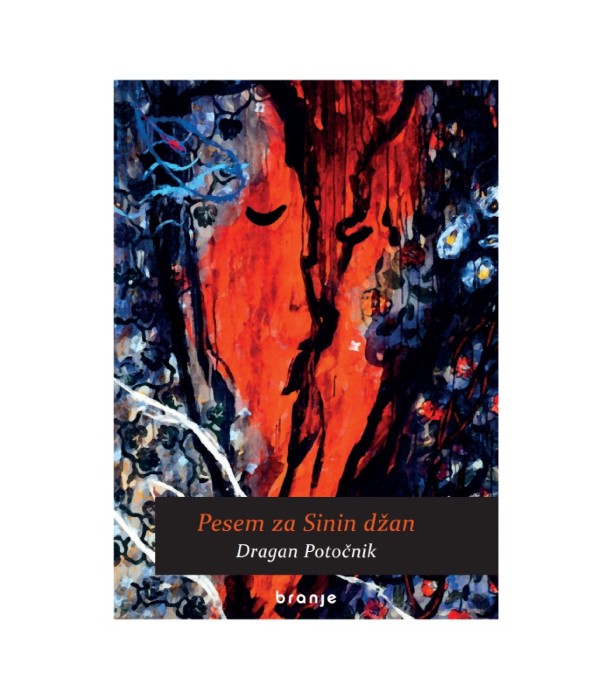 Pesem za Sinin džan - Dragan Potočnik