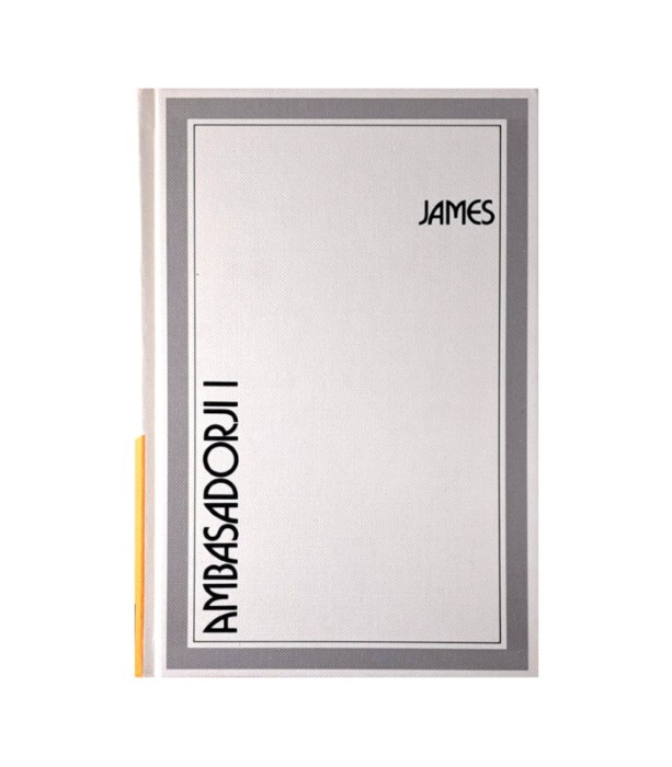 Rabljena knjiga Sto romanov: Ambasadorji 1-2 - Henry James