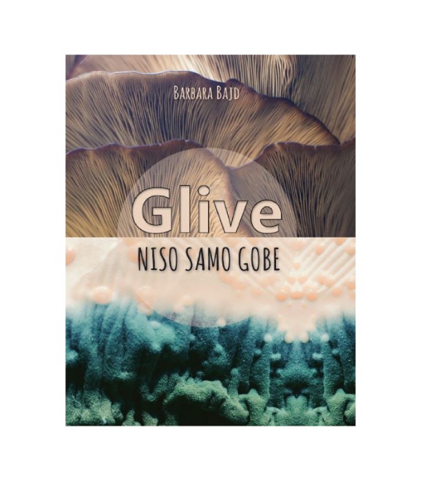 Glive niso samo gobe - Barbara Bajd