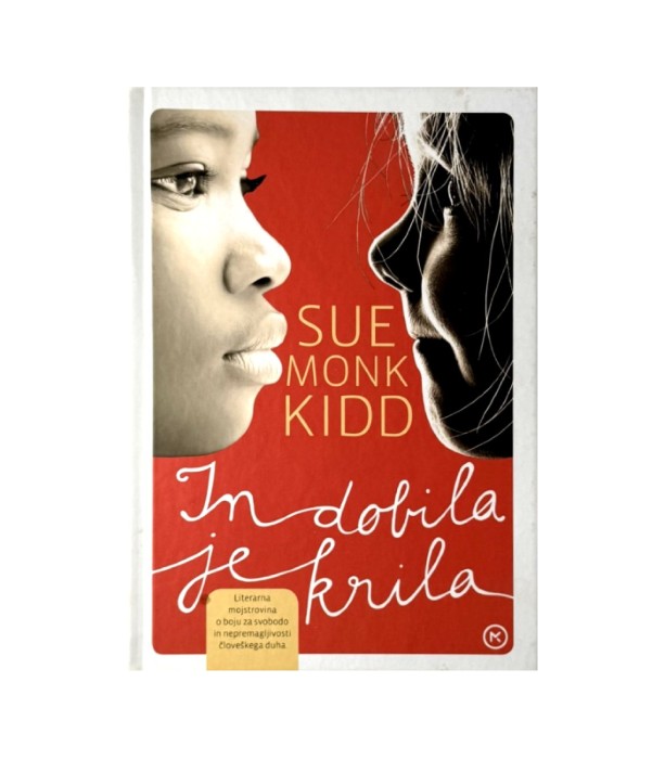 In dobila je krila - Sue Monk Kidd