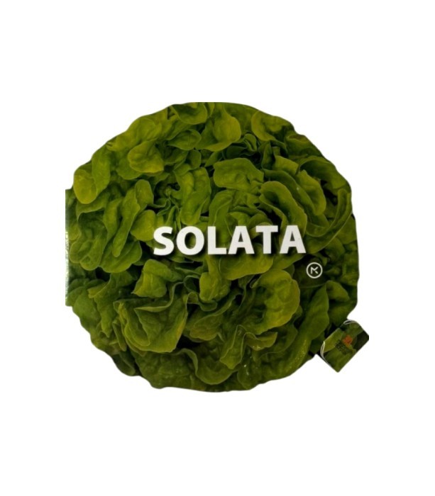 Solata