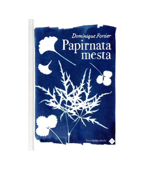 Papirnata mesta - Dominique Fortier