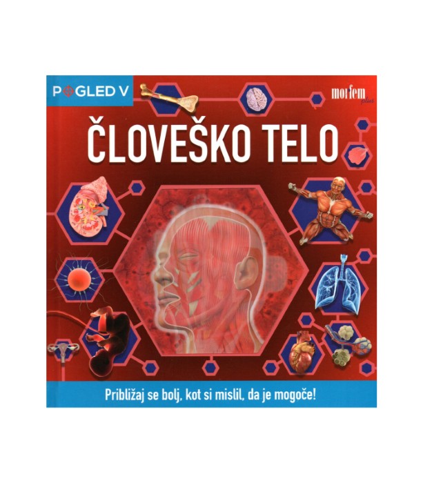 Pogled v človeško telo