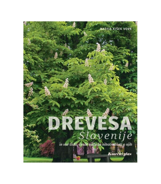 Drevesa Slovenije in vse tisto česar niste še nikoli slišali o njih