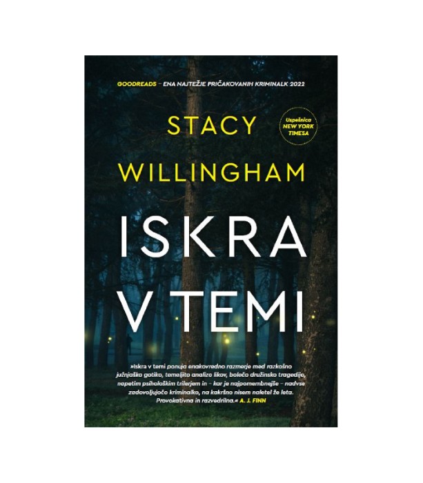 Iskra v temi - Stacy Willingham