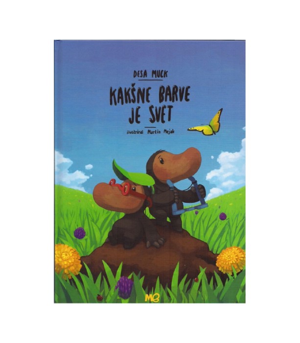 Kakšne barve je svet - Desa Muck