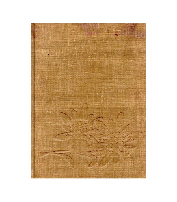 Moja hoja na Triglav - Janez Mencinger