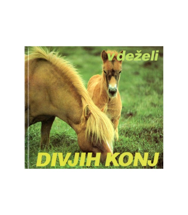 V deželi divjih konj