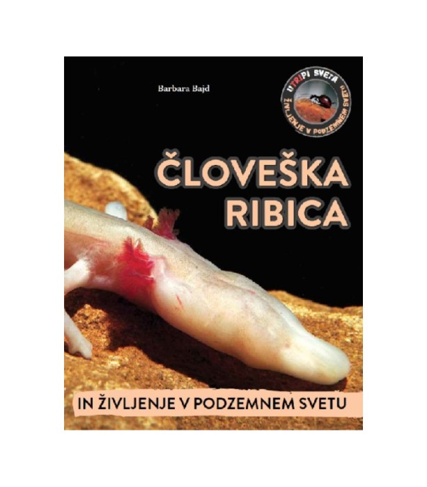 Človeška ribica in življenje v podzemnem svetu - Barbara Bajd