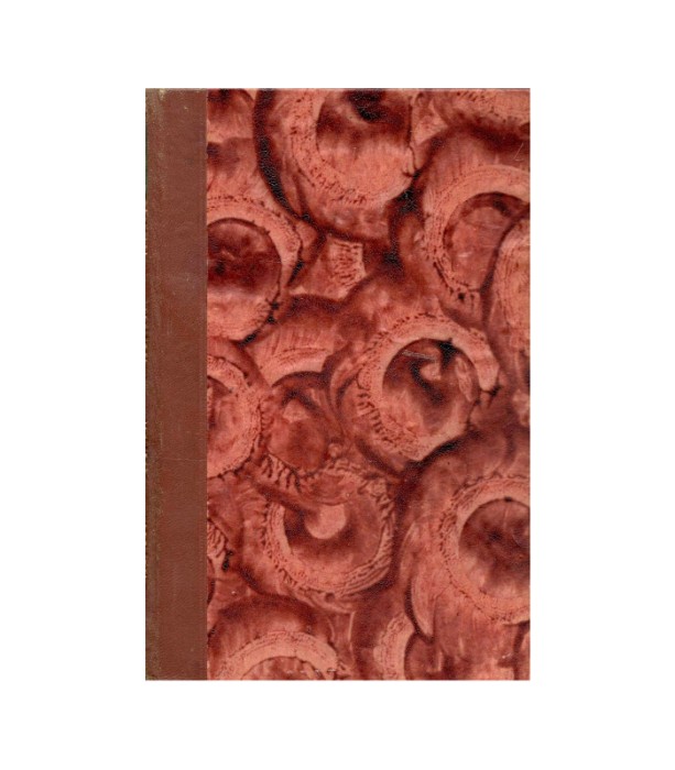 Die Elenden - Victor Hugo