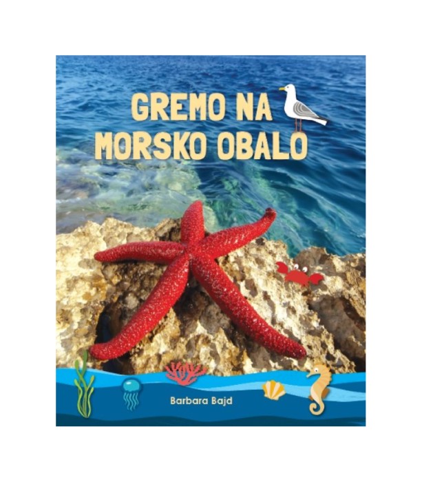 Gremo na morsko obalo