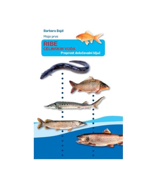 Moje prve ribe celinskih voda - Barbara Bajd