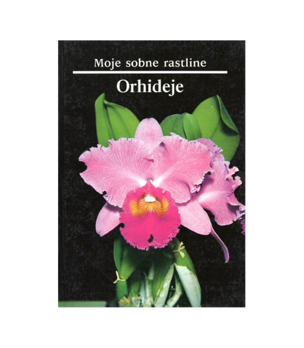 Moje sobne rastline: Orhideje