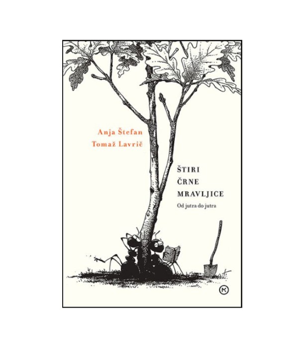 Štiri črne mravljice od jutra do jutra - Anja Štefan, Tomaž Lavrič