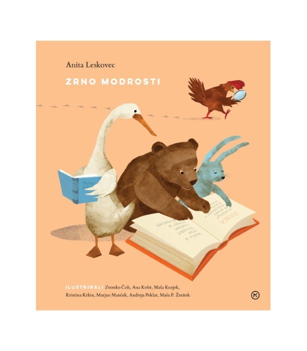 Zrno modrosti - Anita Leskovec