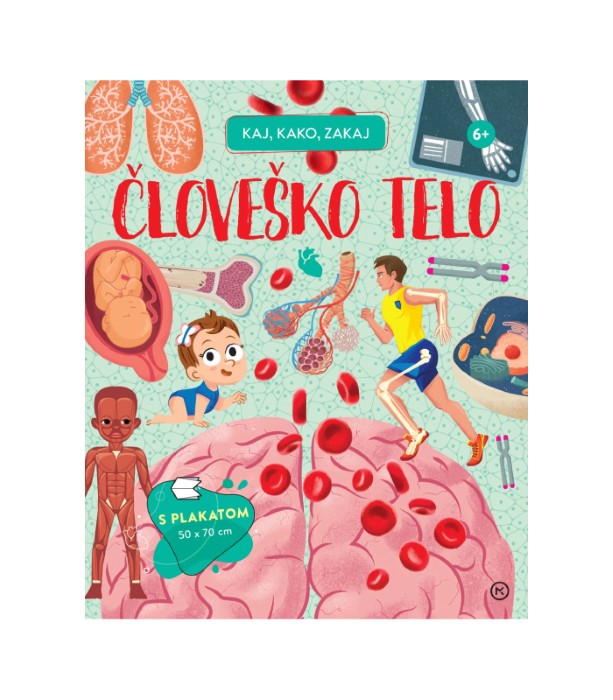 Kaj, kako, zakaj: Človeško telo - Irena Trevisan