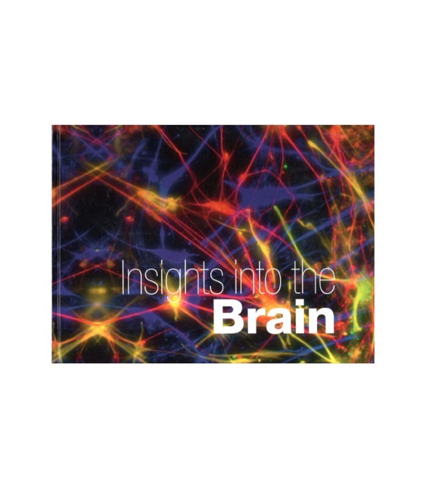 Insights into the Brain