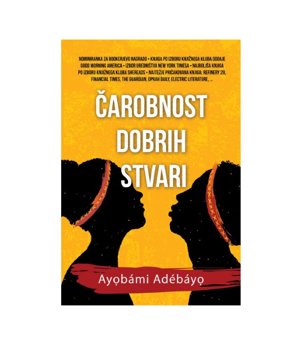 Čarobnost dobrih stvari - Ayobami Adebayo