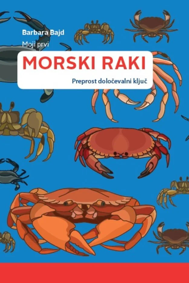 Moji prvi morski raki – Barbara Bajd